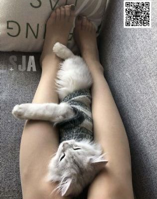 炼气十万年樱花动漫
